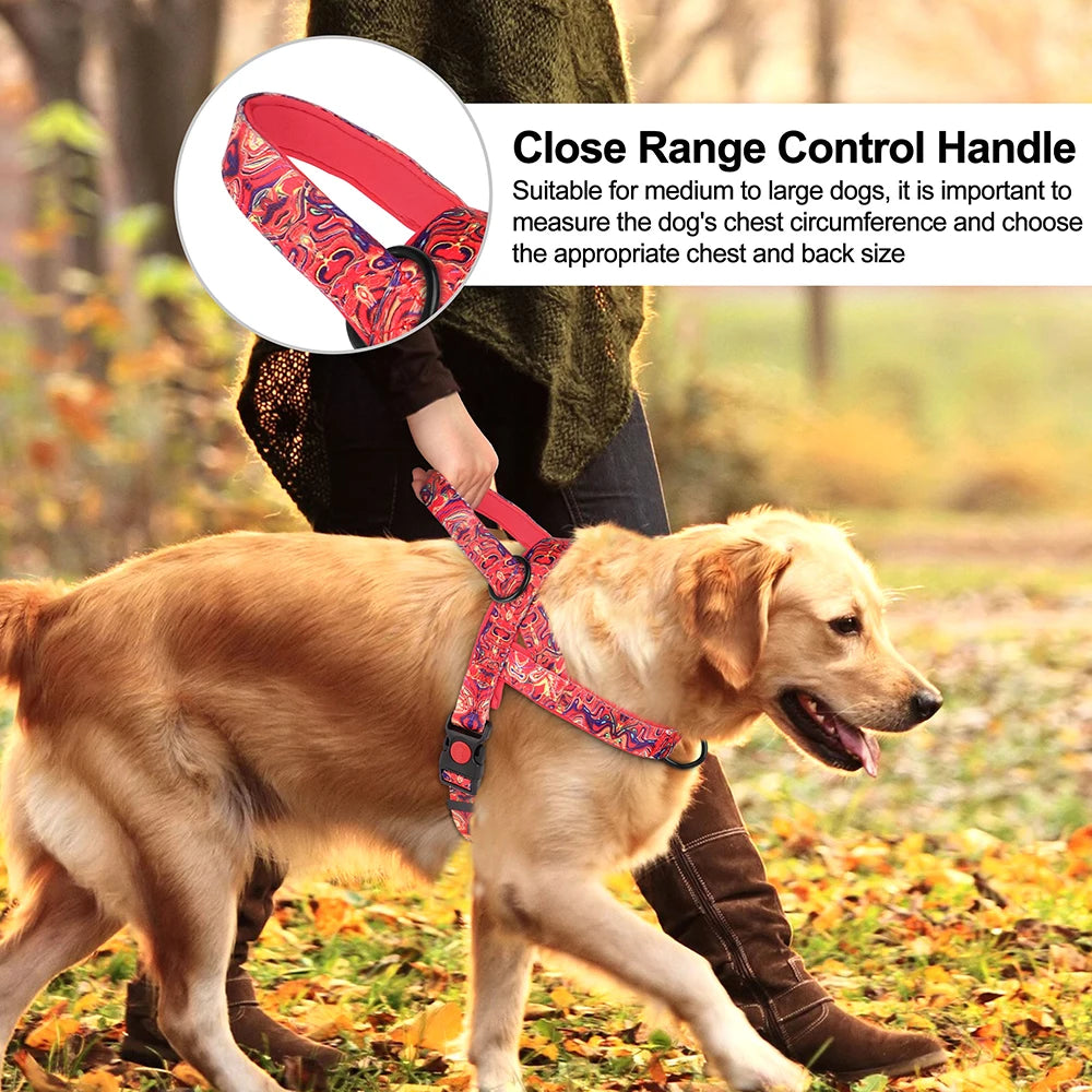 No Pull Nylon Dog Harness