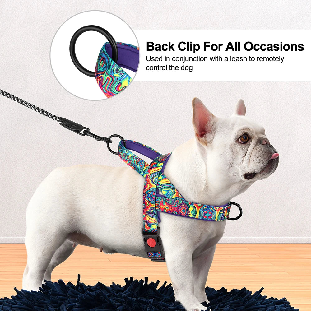 No Pull Nylon Dog Harness