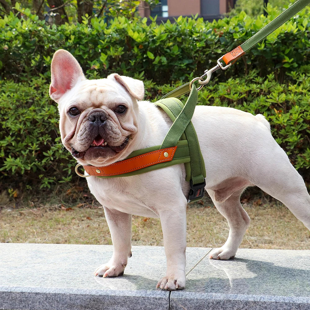 No Pull Leather Dog Harness