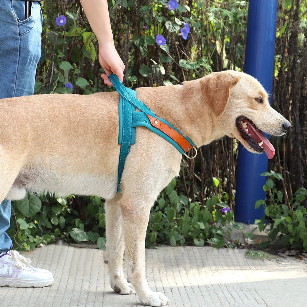 No Pull Leather Dog Harness