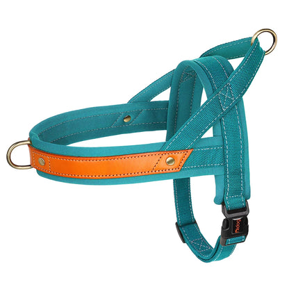 No Pull Leather Dog Harness