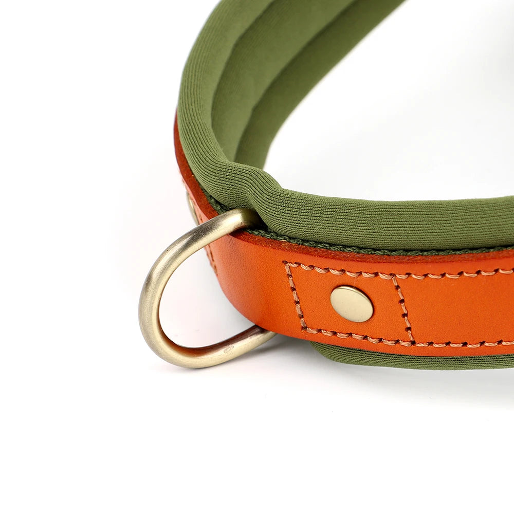 No Pull Leather Dog Harness