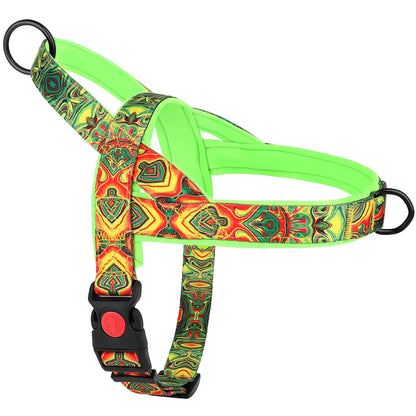 No Pull Nylon Dog Harness