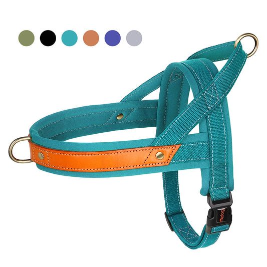 No Pull Leather Dog Harness